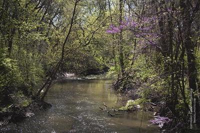 Plaster Creek Clean-Up at Masjid At-Tawheed